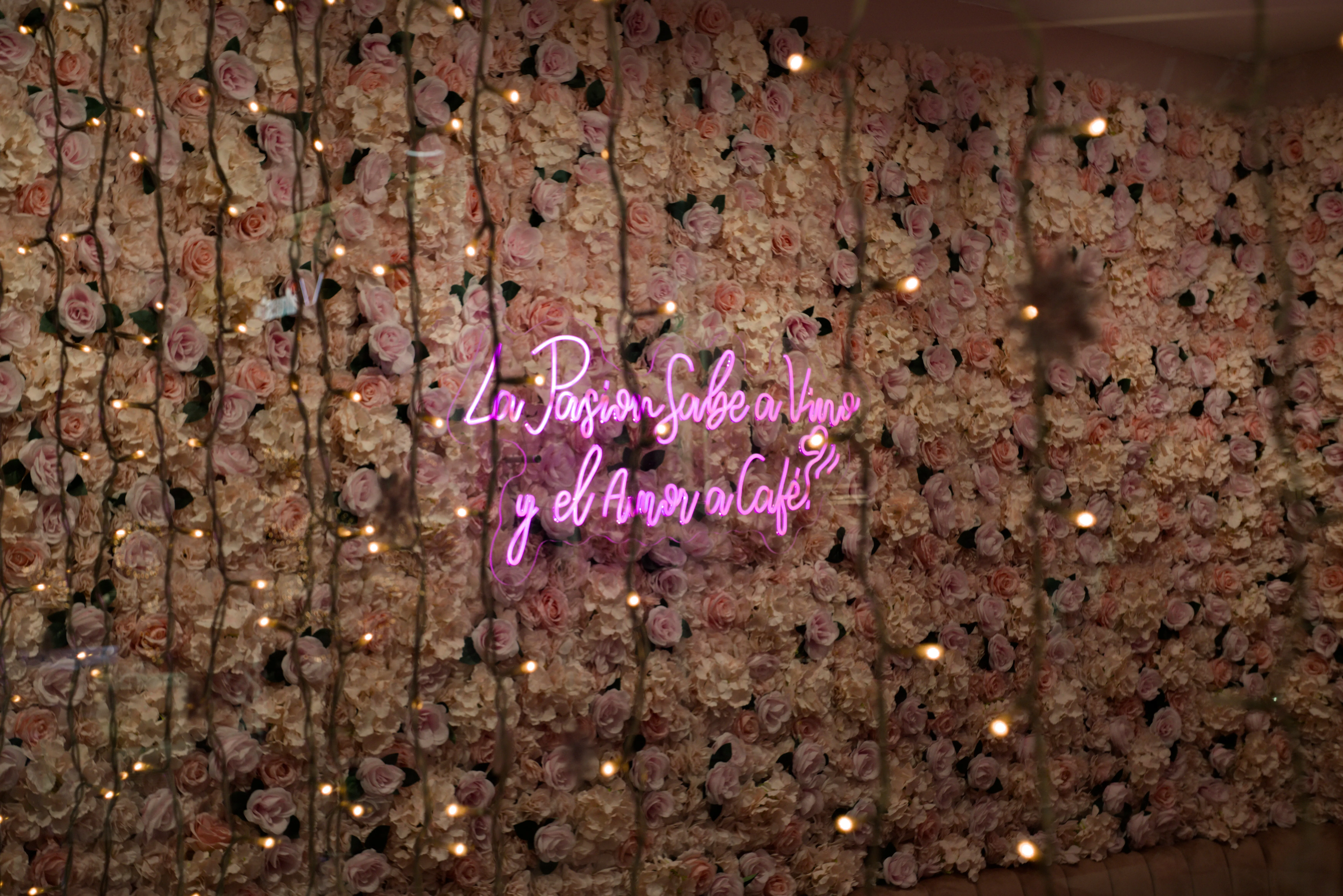 Meyer-Optik Görlitz Primagon 35mm f4.5 (M42) - _I4A4625.webp